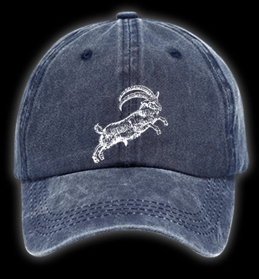 The VVITCH Vintage Washed 100% Cotton Baseball Hat - TheDrunkShark