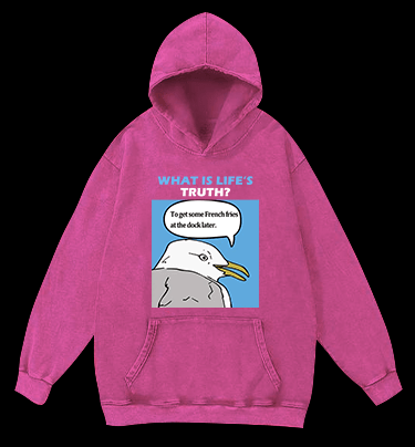 What Is Life's Truth Goose Vintage Washed 100% Cotton Hoodie - TheDrunkShark